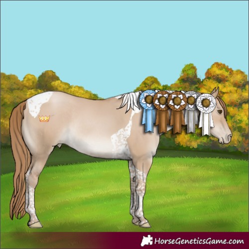 Horse Color:Grullo Pearl Tobiano Rabicano 