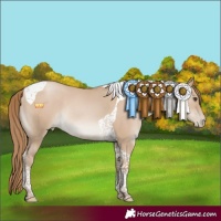 Horse Color:Grullo Pearl Tobiano Rabicano 