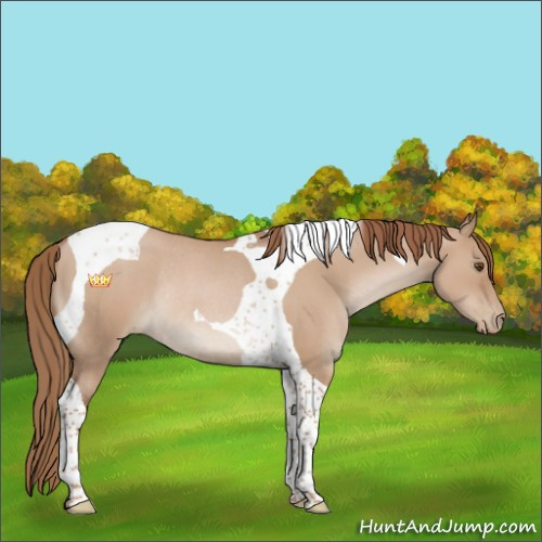 Horse Color:Grullo Pearl Tobiano Rabicano