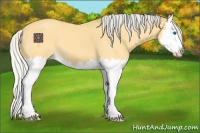 Horse Color:Silver Buckskin Dun Splash 