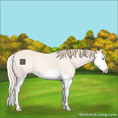 Horse Color:Perlino Dun Splash 