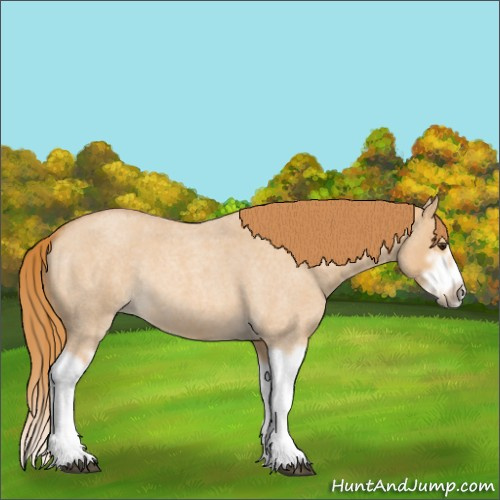 Horse Color:Red Dun Roan Splash Frame Rabicano