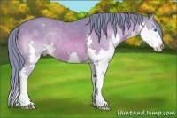 Horse Color:Watercolor Bay Splash