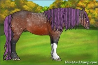 Horse Color:Painted Bay 