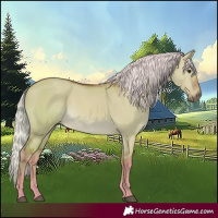 Horse Color:Watercolor Silver Bay Dun 