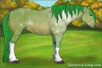 Horse Color:Painted Watercolor Bay
