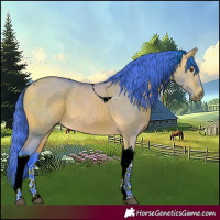 Horse Color:Watercolor Buckskin Dun Tobiano 