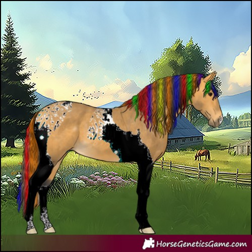 Horse Color:Painted Buckskin Tobiano 