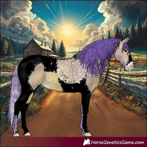 Horse Color:Watercolor Buckskin Tobiano 