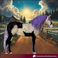 Horse Color:Watercolor Buckskin Tobiano 
