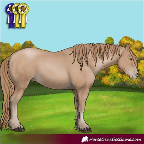Horse Color:White Spotted Black Pearl 