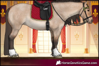 Horse Color:Bay Roan Dun