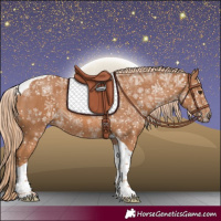 Horse Color:Chestnut Tobiano 