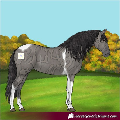Horse Color:Smoky Grullo Ice Tobiano 