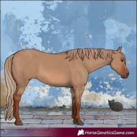 Horse Color:Red Dun 