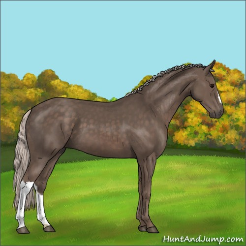 Horse Color:Silver Black 