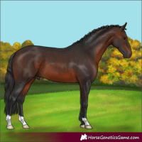Horse Color:Brown 