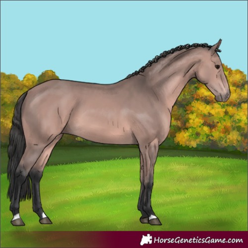Horse Color:Platinum Bay 