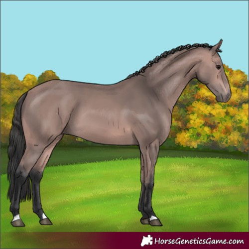 Horse Color:Platinum Bay