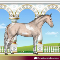 Horse Color:Silver Bay Dun Sabino Tobiano Frame Rabicano 