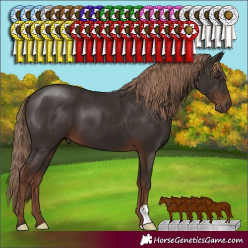 Horse Color:Liver Chestnut 