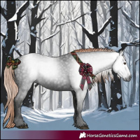 Horse Color:Gray White Spotted Liver Chestnut 