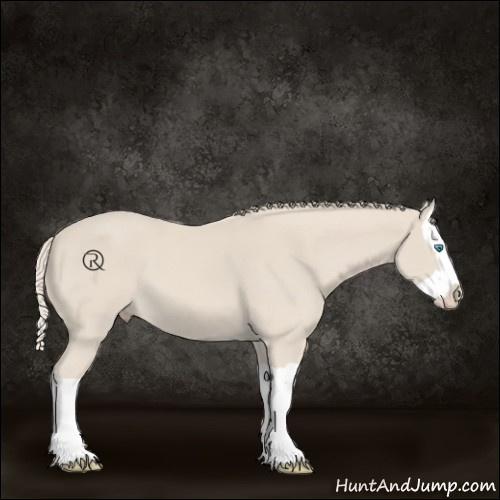 Horse Color:Smoky Creme Splash