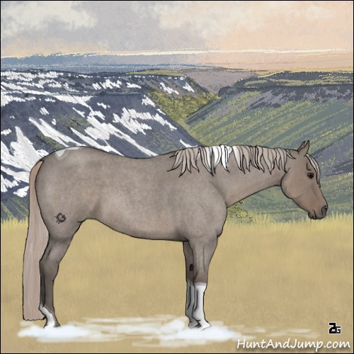 Horse Color:Silver Grullo Roan Tobiano 