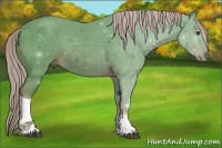 Horse Color:Watercolor Chestnut 