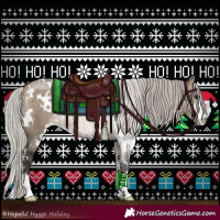 Horse Color:White Spotted Silver Brown Dun Sabino