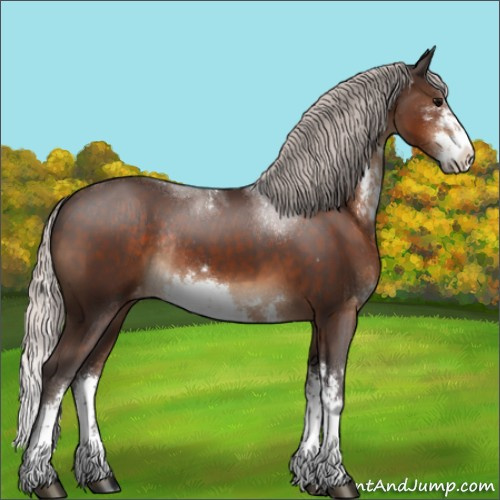 Horse Color:Silver Brown Sabino Appaloosa Rabicano 