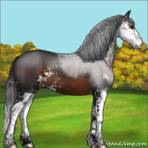Horse Color:Brown Sabino 