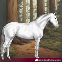 Horse Color:Black Sabino 