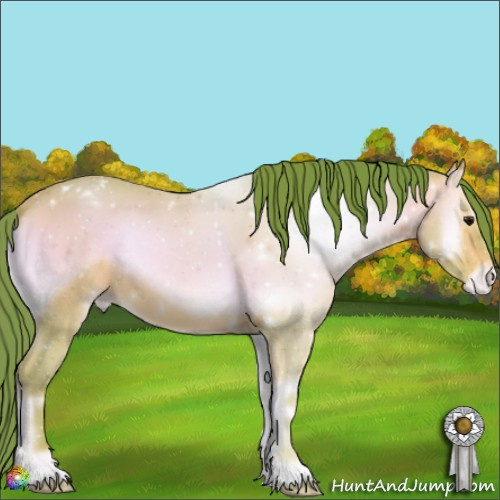 Horse Color:Watercolor Chocolate Amber Champagne Onyx Appaloosa