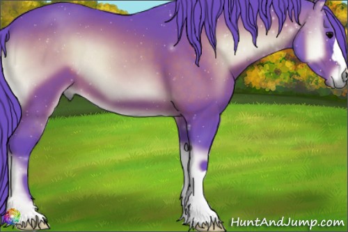 Horse Color:Watercolor Brown Onyx 