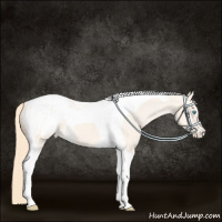 Horse Color:Perlino Dun Tobiano Appaloosa 