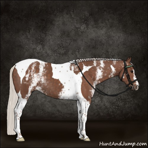 Horse Color:White Spotted Silver Black Tobiano 
