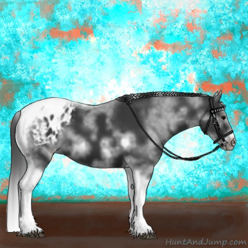Horse Color:White Spotted Black Splash Tobiano Frame Appaloosa