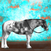Horse Color:White Spotted Black Splash Tobiano Frame Appaloosa 