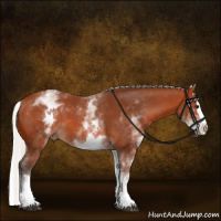 Horse Color:White Spotted Silver Bay Splash 