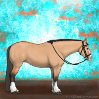 Horse Color:Bay Dun Splash 