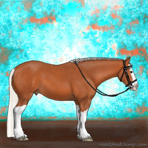 Horse Color:Silver Bay Splash 