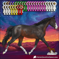 Horse Color:Brown 