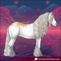 Horse Color:White Spotted Palomino Dun Splash