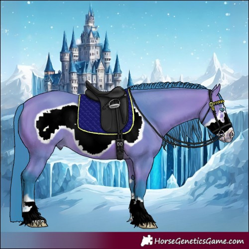 Horse Color:Watercolor Bay Frame 