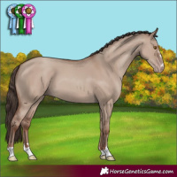 Horse Color:Classic Champagne Dun 
