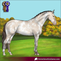 Horse Color:White Spotted Amber Champagne Dun Rabicano 