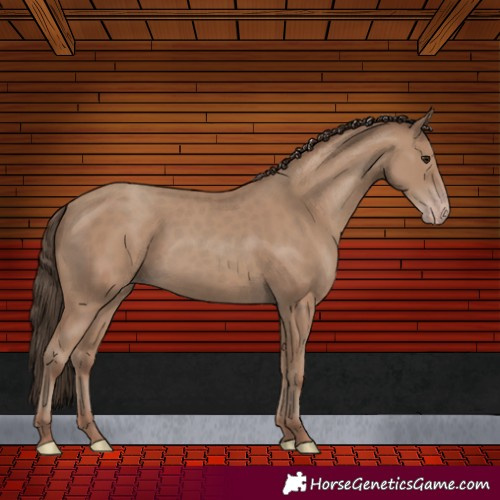 Horse Color:Classic Champagne 