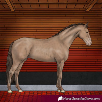 Horse Color:Classic Champagne 