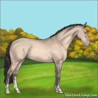 Horse Color:Sable Champagne Dun Sabino 